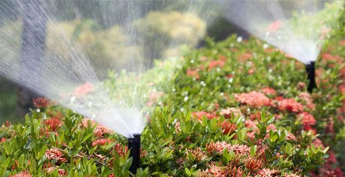 梦见很多水浇地什么意思