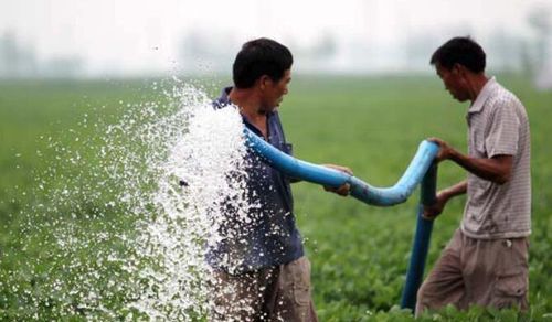 梦见浇地没水了是什么预兆