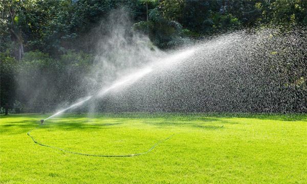 梦见干旱的时候给地里抽水什么意思