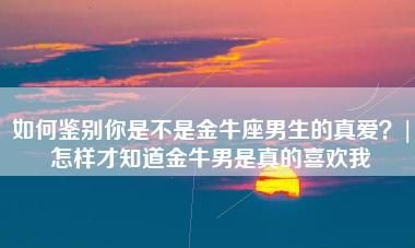 越不理他反而越爱你的星座男