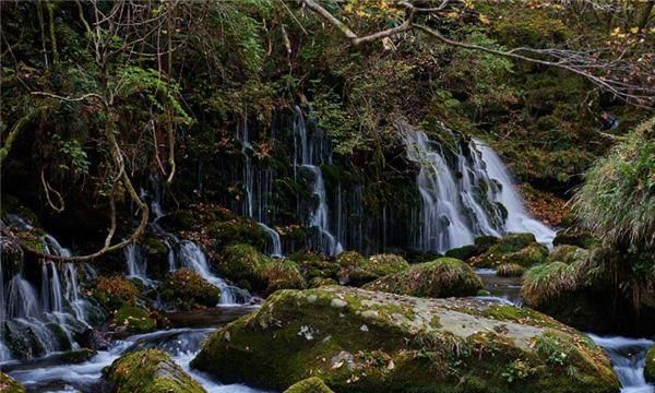 梦见泉水从地下涌出是什么意思