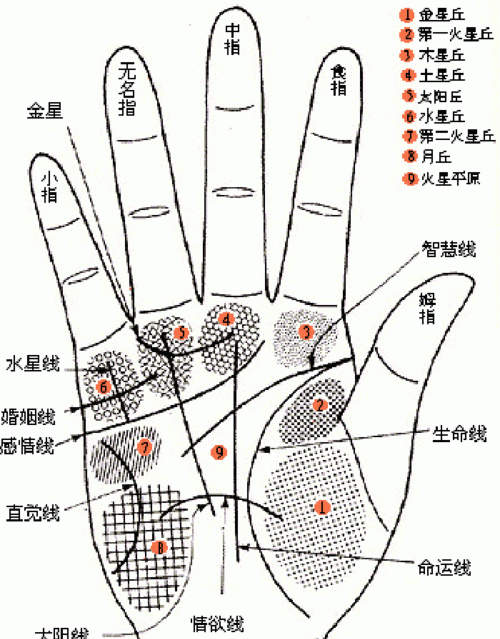 女人手相算命图解:嫁得好的手相