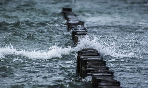 梦见大水流走了是什么意思