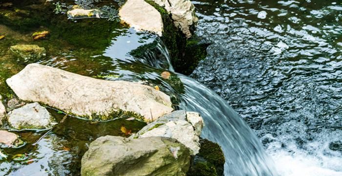 梦见自己路过看见山沟里流水什么意思