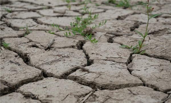 梦见天气干旱什么意思