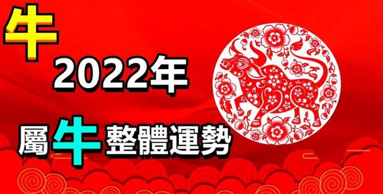 麦玲玲2023年十二生肖运势详解