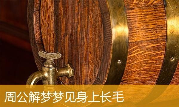 梦见手上长毛是什么意思