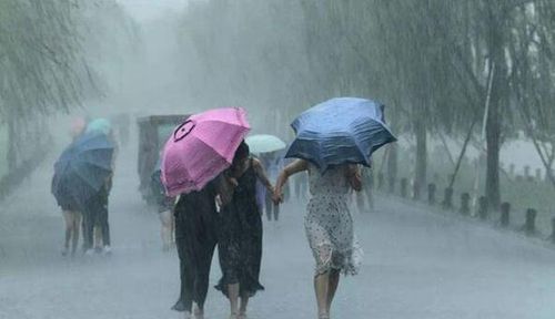 女人梦见自己冒雨前行