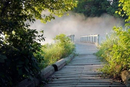 梦到自己掉进坑里又爬出来