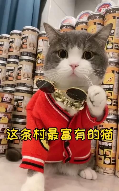 《招财猫》有什么象征意义呢