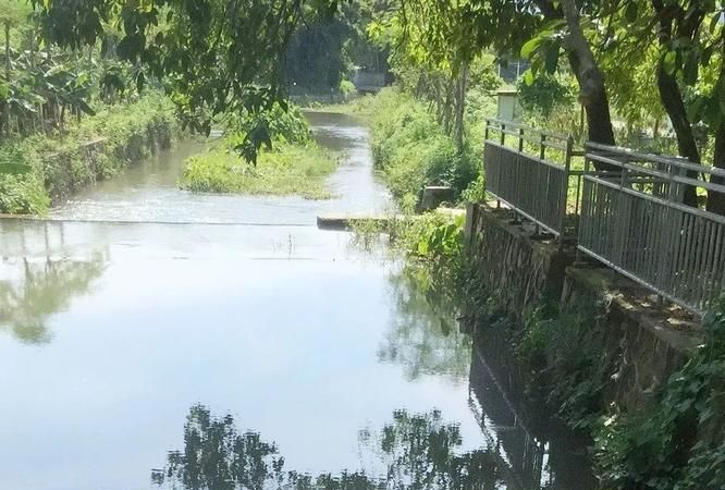 梦见水渠里的水溢出来解梦