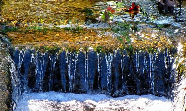 梦见大水渠里水很大