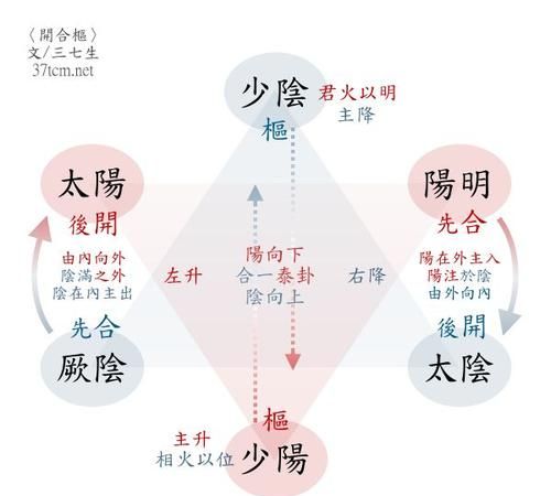 什么是少阳症和寒热往来