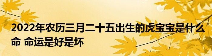 农历2月4日出生的人五行缺什么属性