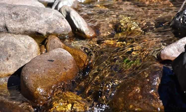 梦见溪水流淌水很清