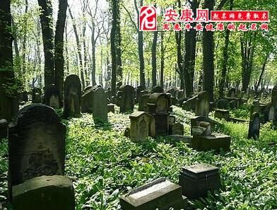 女人梦见几个土坟包和花