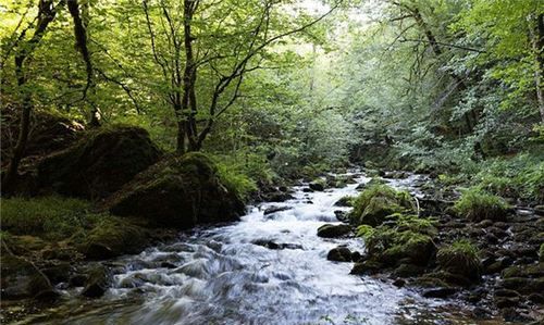 梦见小溪流水是什么征兆