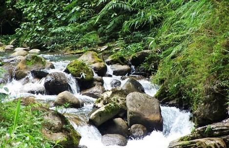 梦见溪水倒流很急