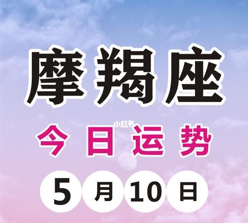 每日星座运势查询