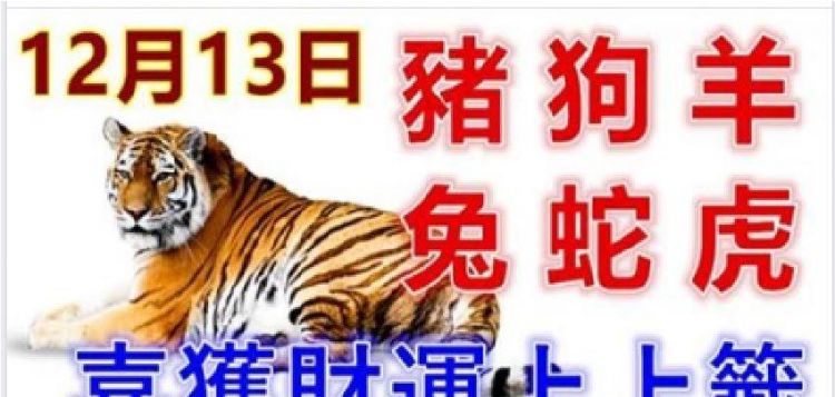 2023生肖运势