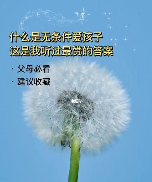 前男友说只要我需要他帮忙 他会无条件的帮我怎么回复