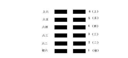 周易起卦中的动爻应该怎么解释呢